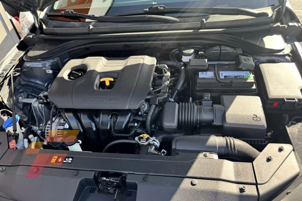 Hyundai Elantra 2020 (3936) - Imagen 10