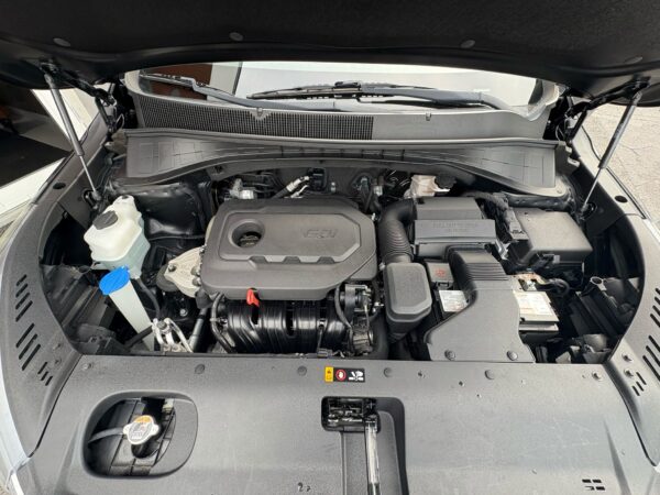 Kia Sorento LX Sport 2020 (3988) - Imagen 14