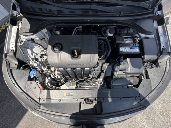 Hyundai Elantra 2020 (3917B) - Imagen 14