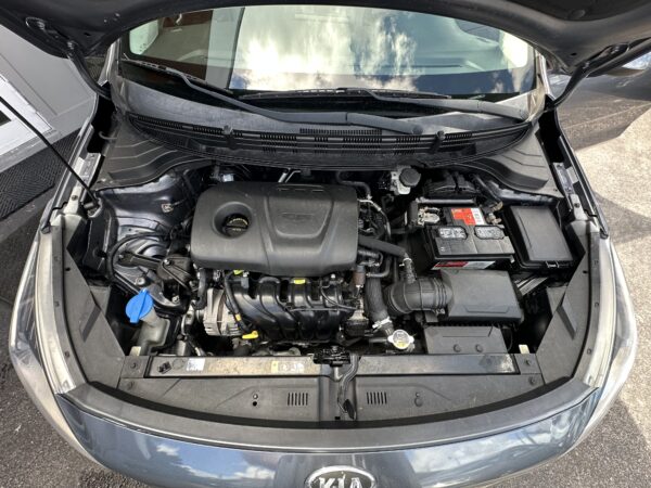 KIA RIO LX 2019 (4004) - Imagen 19