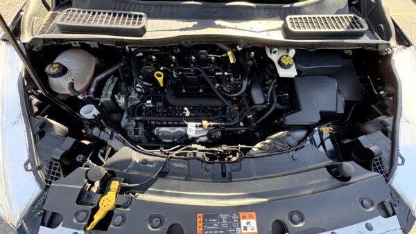 FORD ESCAPE SE 2019 (4006) - Imagen 3