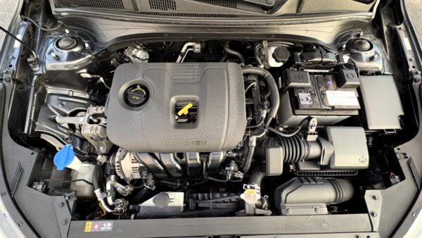 KIA FORTE FE 2020 (4008) - Imagen 28