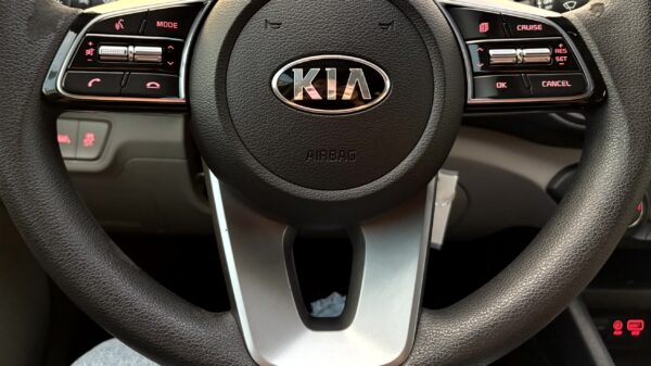 KIA FORTE FE 2020 (4008) - Imagen 19